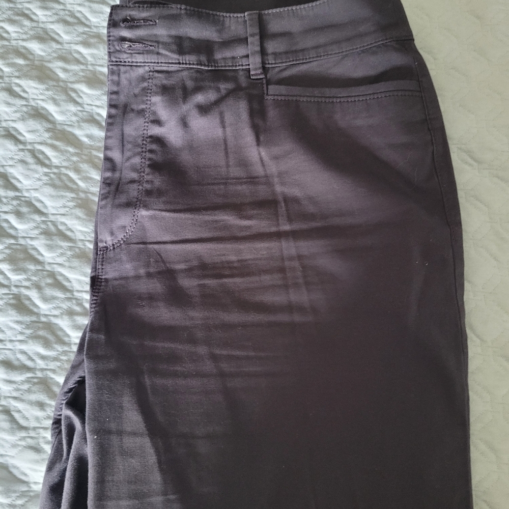 Loft pants